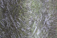 North Stainley fibreglass roof work